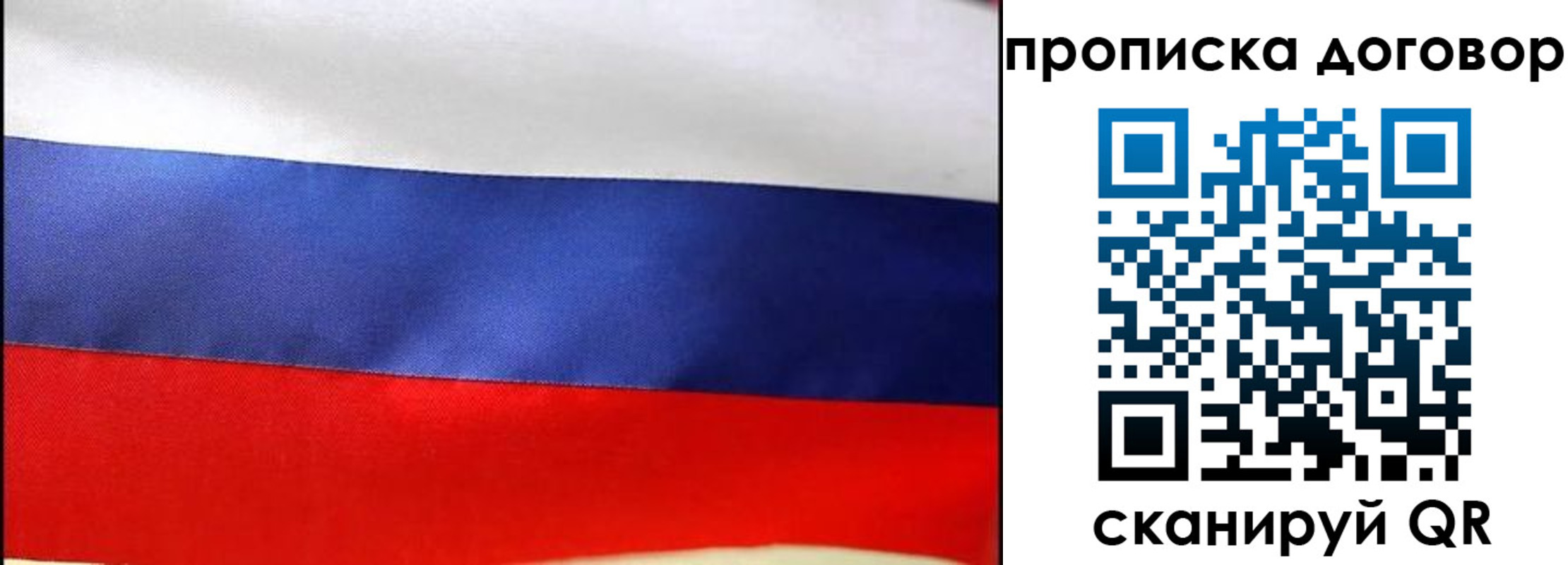 прописка гарантия в Воронежской области