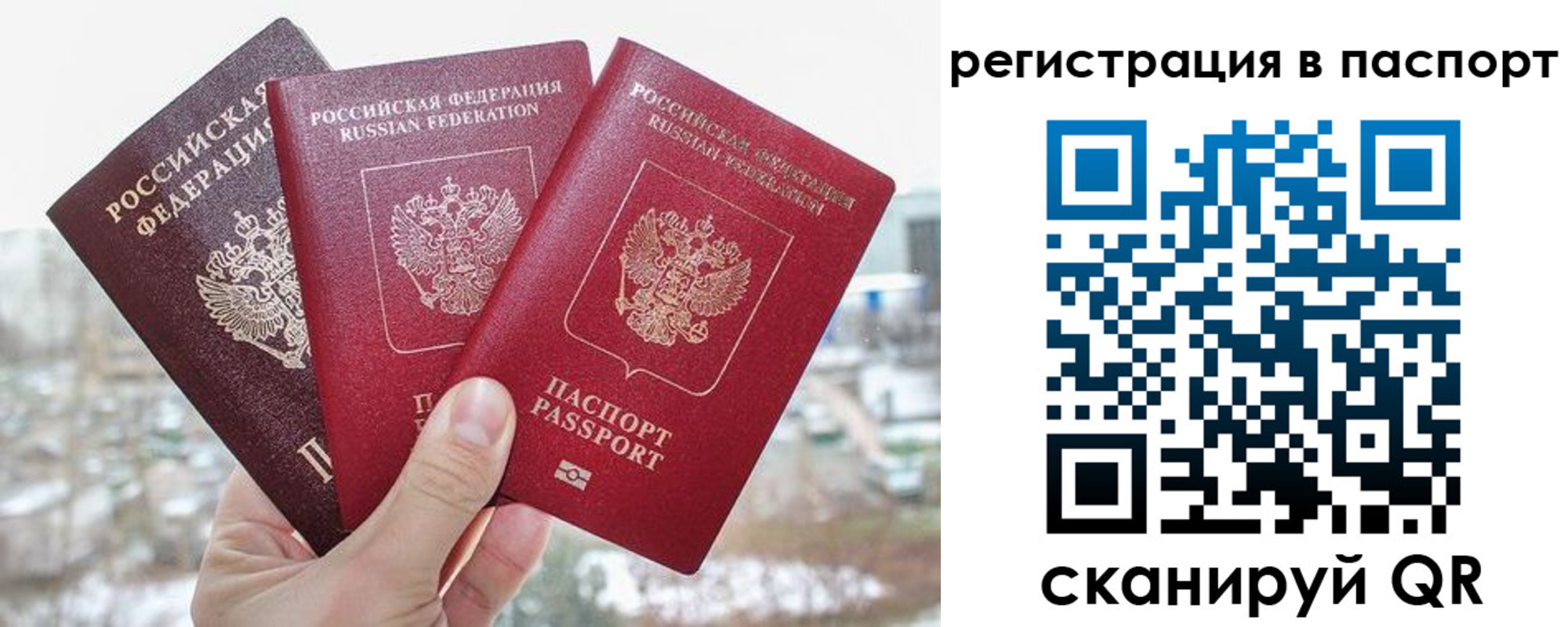 регистрация для школы в Воронежской области